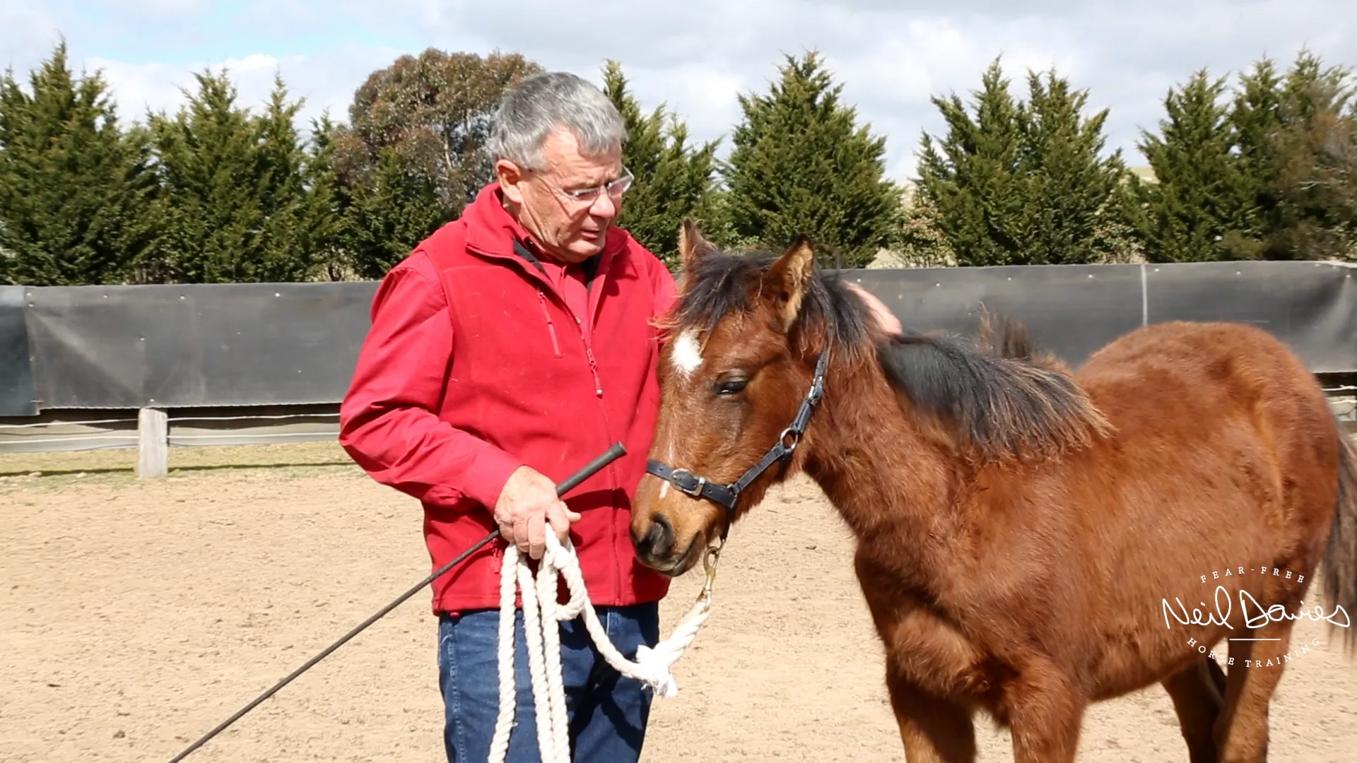 5a692a3c4191040001c9151d_Neil-Foal-3