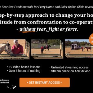 Fear-free Fundamentals for Every Horse and Rider Online Clinic
