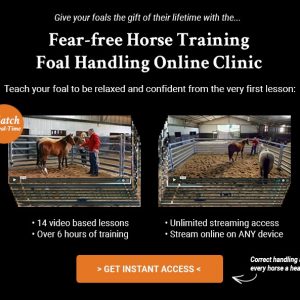 Foal Handling Online Clinic