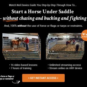 Starting a Horse Under Saddle Online Clinic